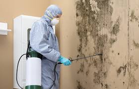 Biohazard Mold Removal in Rockmart, GA